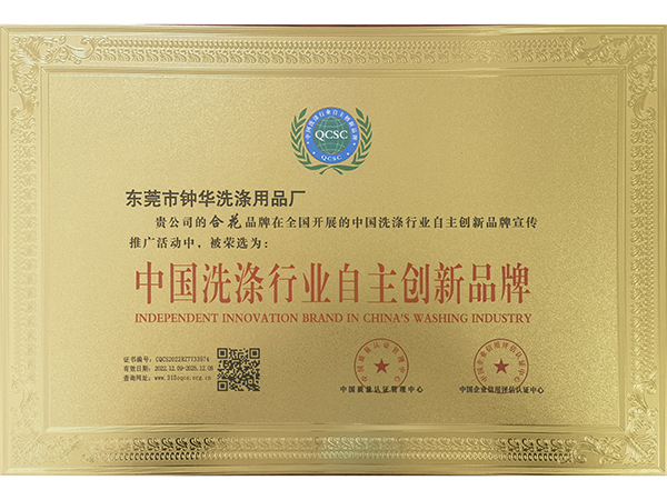 中国洗涤行业自主创新品牌